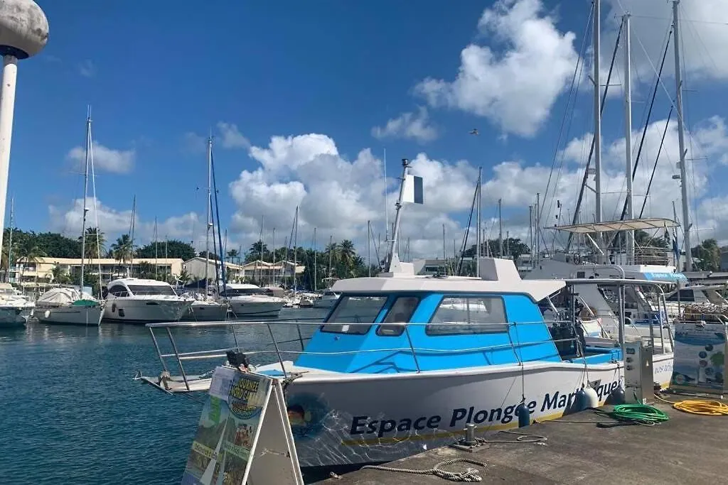 アパート レ・トロワ・イレMagnifique T3 Renove Vue Mer Marina Pointe Du Boutアパートメント マルティニーク